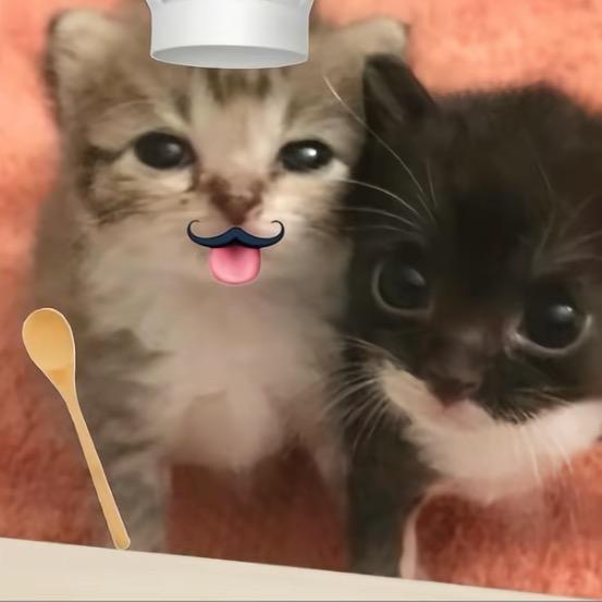 喵