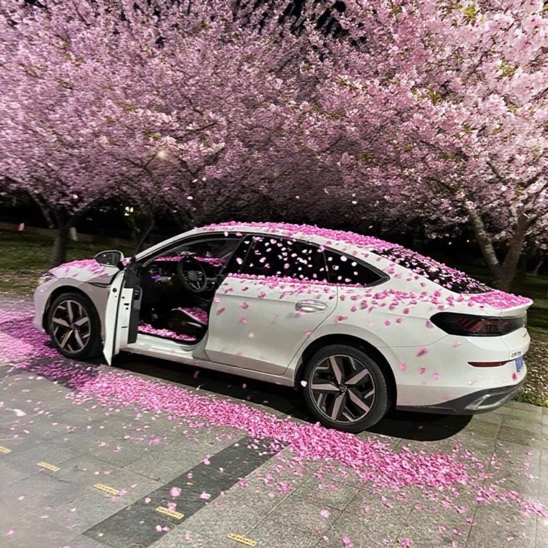 🐌海螺姑娘🐚