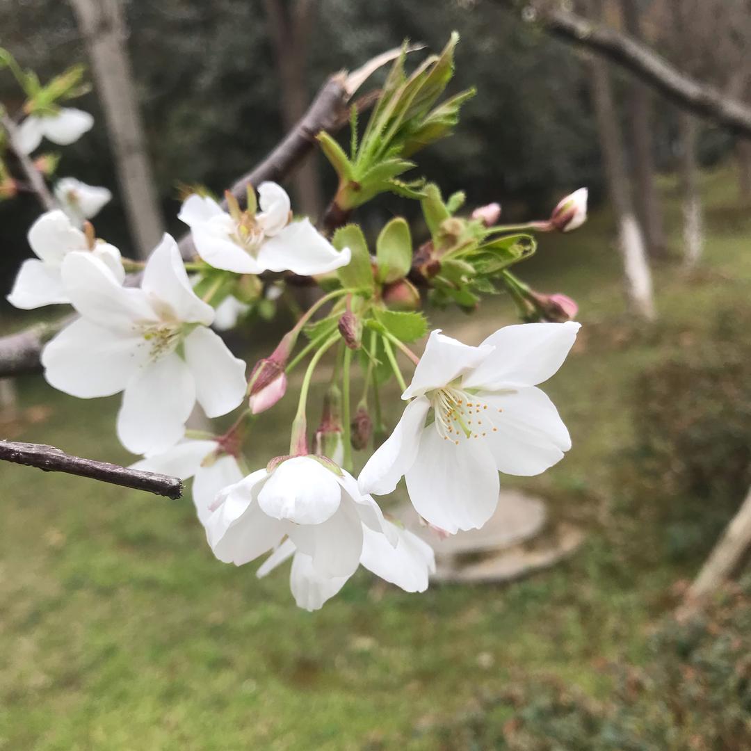 💕 四季安然