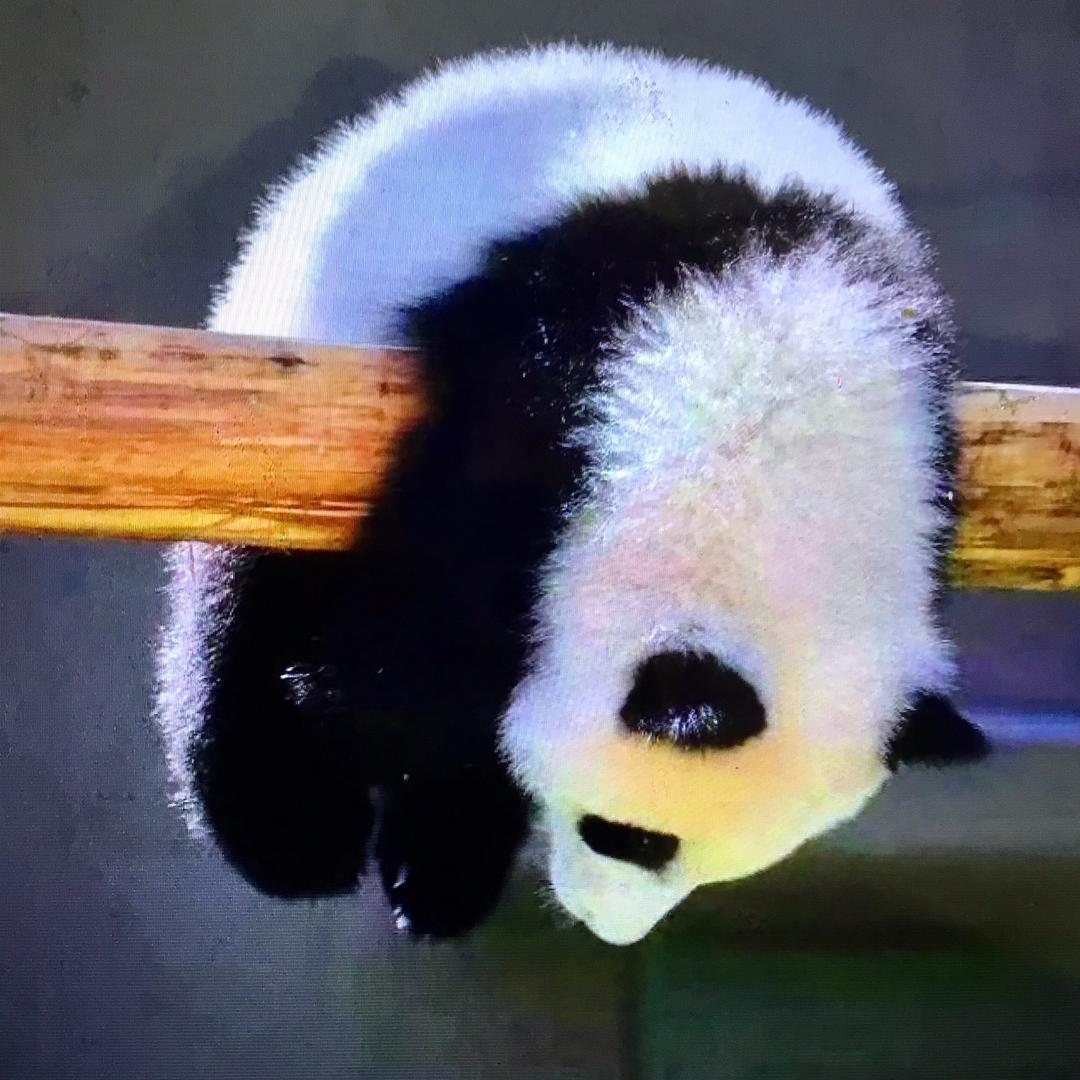 马达精选