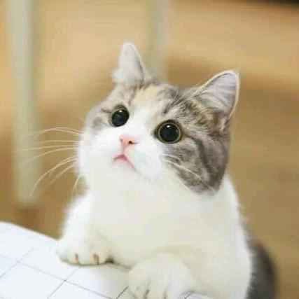 🌈泡泡🍬🎀🍀