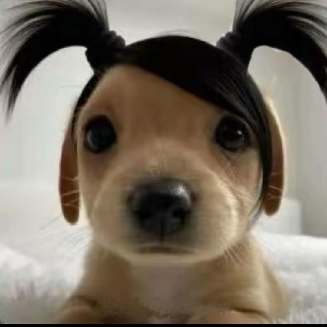 醒醒（沉迷燕云十六声版）