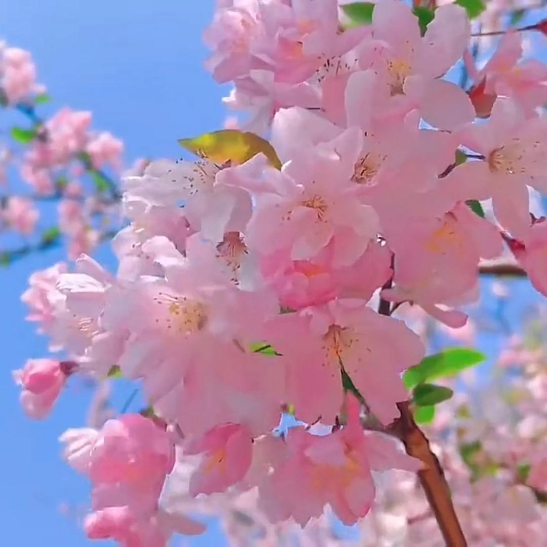 忘了我的爱