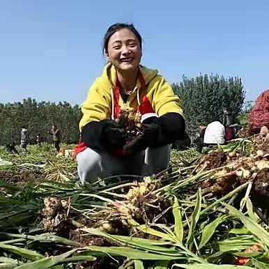 宜章小霞