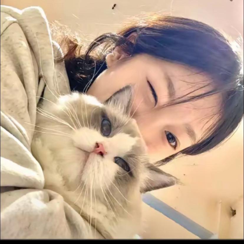 蛋挞没有挞_