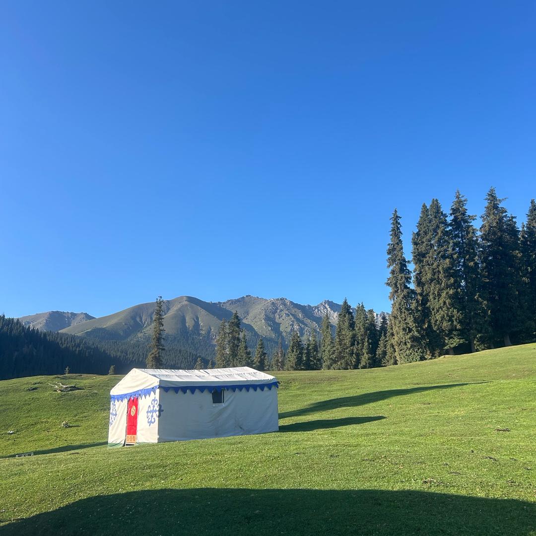 新疆九甲💎农业生物科技肥