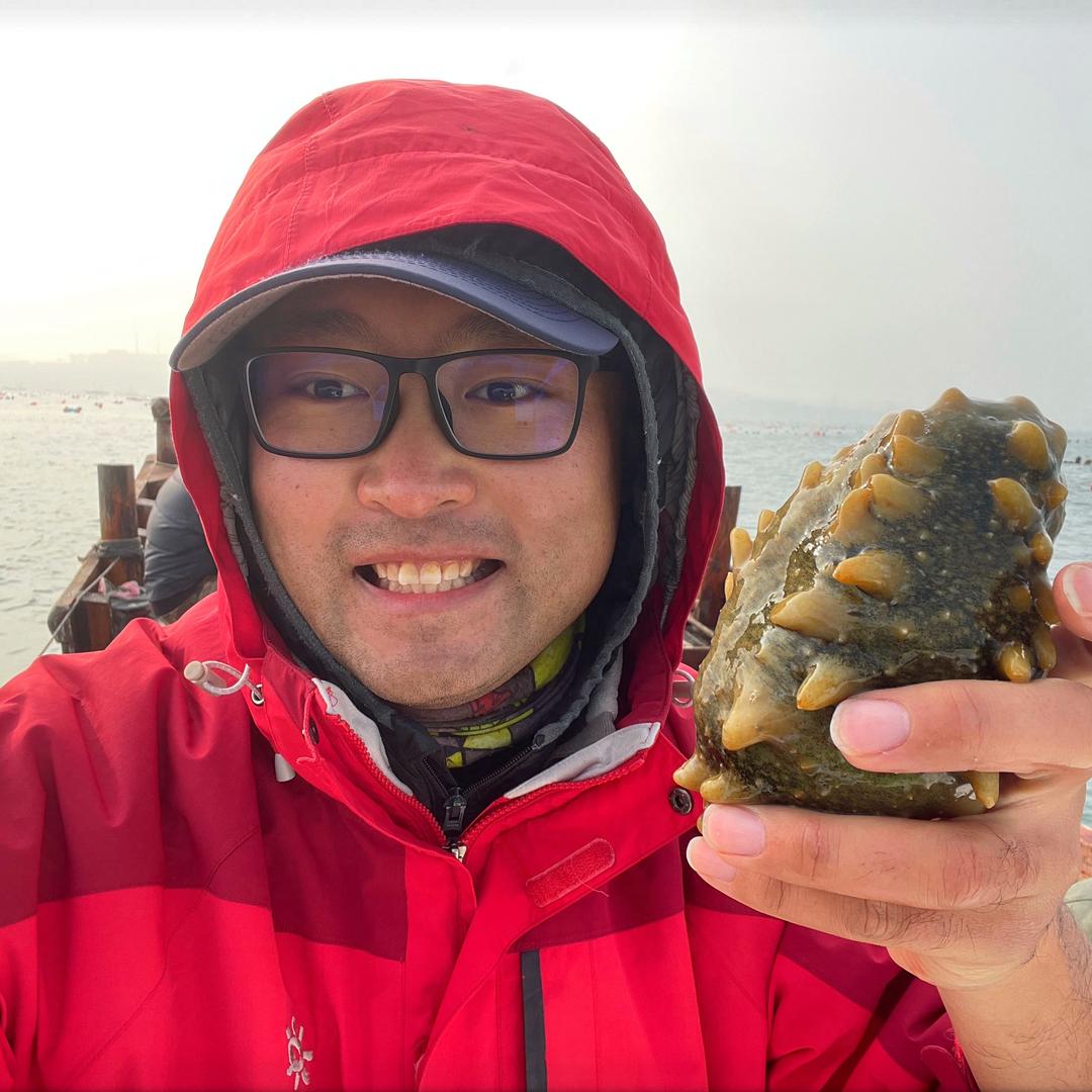 食材猎人武哥一大连海参季