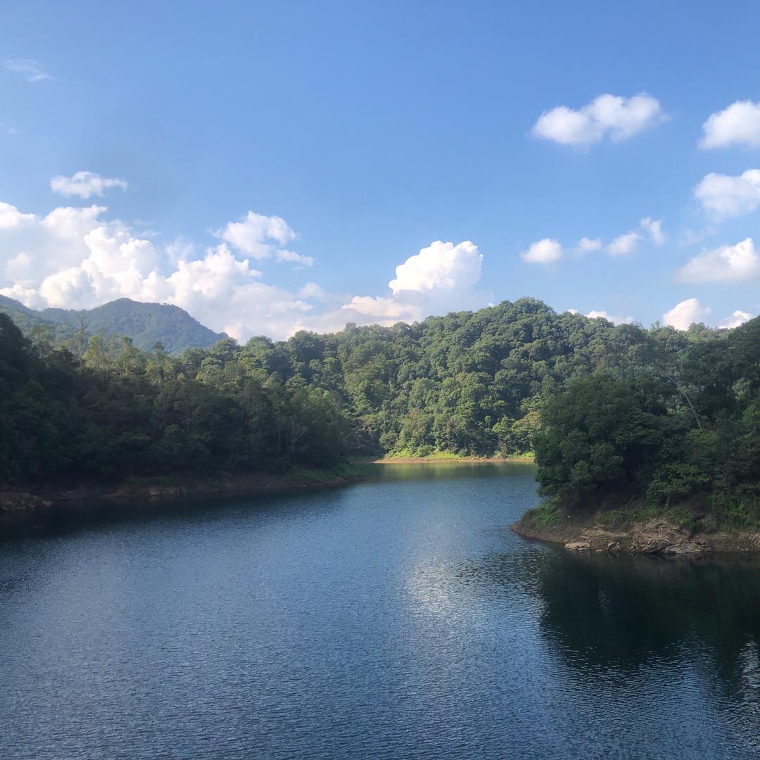 不务正业的民宿老板