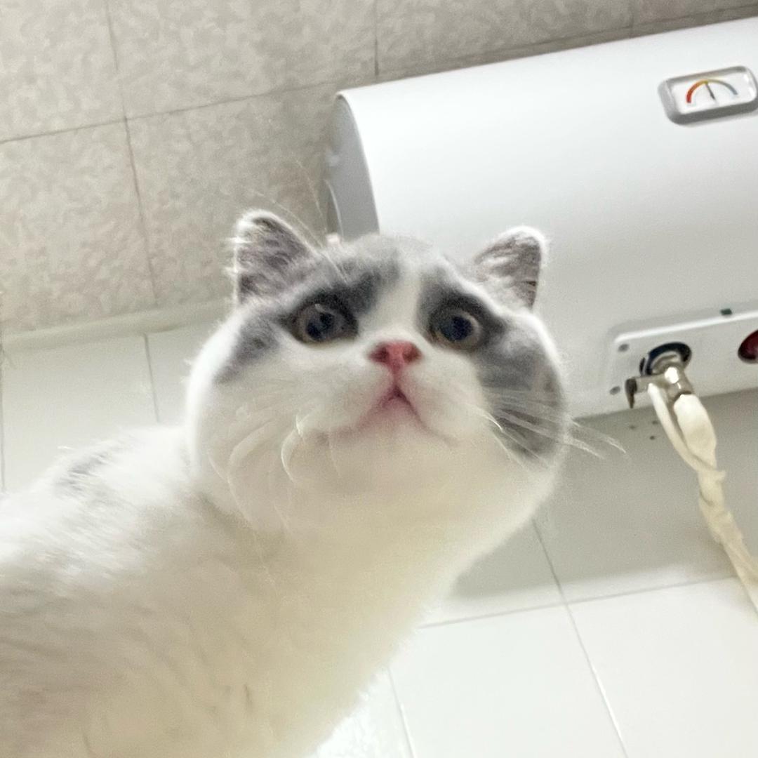 没事