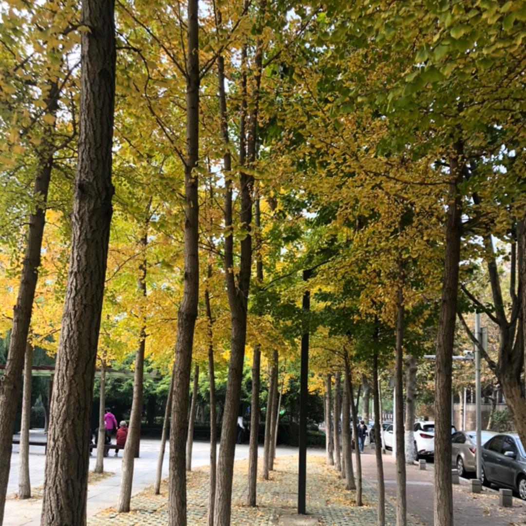 六六大顺