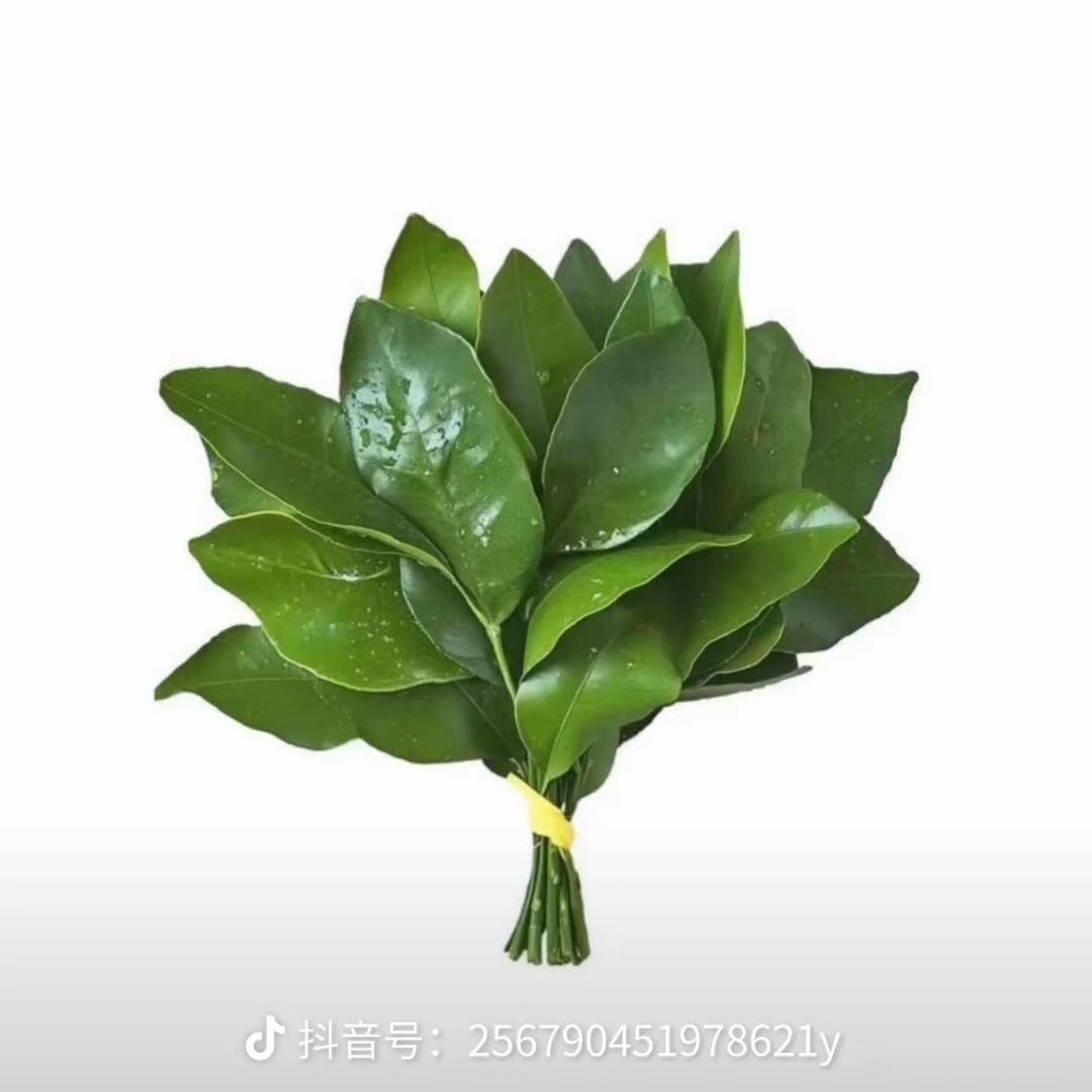 一颗冰汤圆
