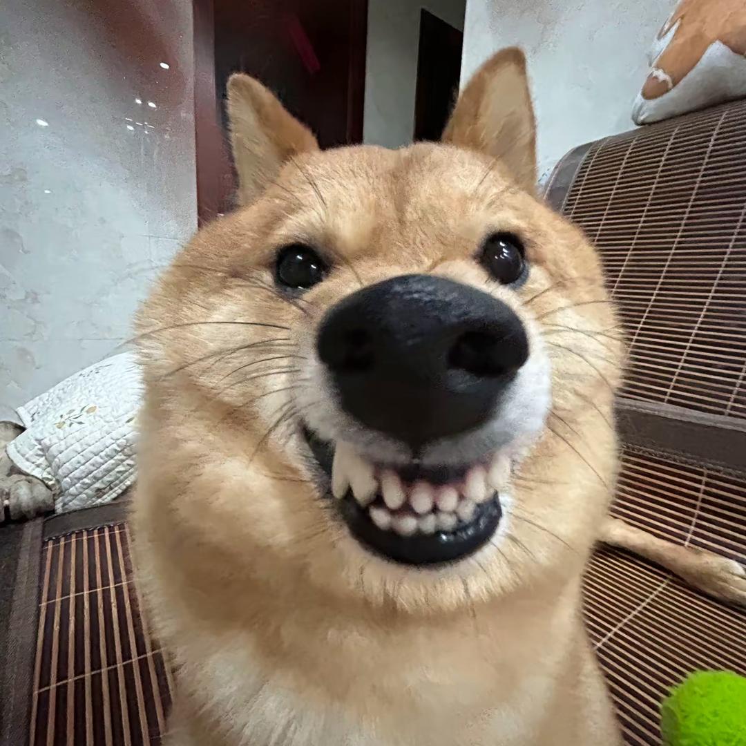 困得掉脑袋