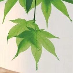 随艳手指操