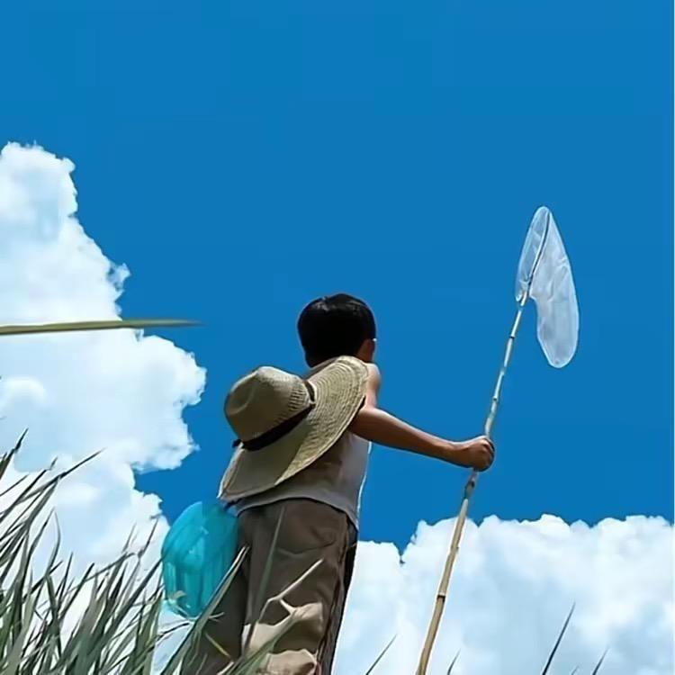 二号贰