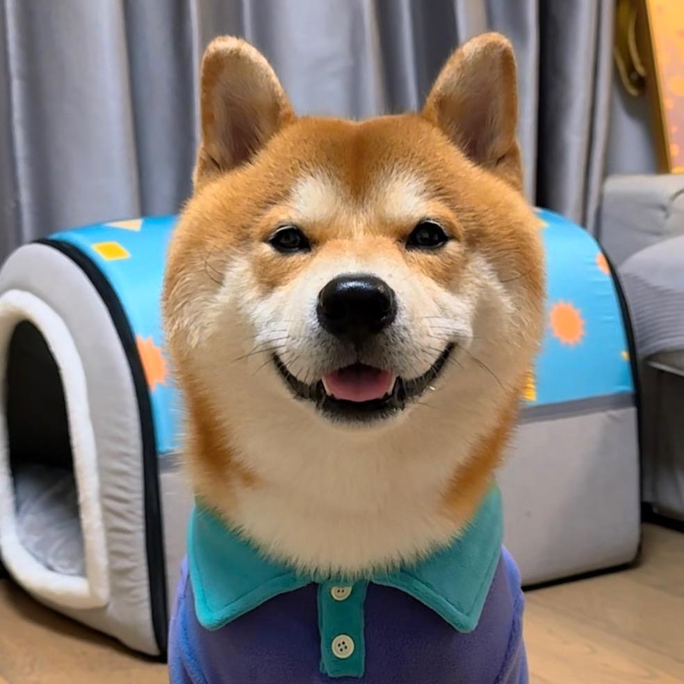 許六一憨憨