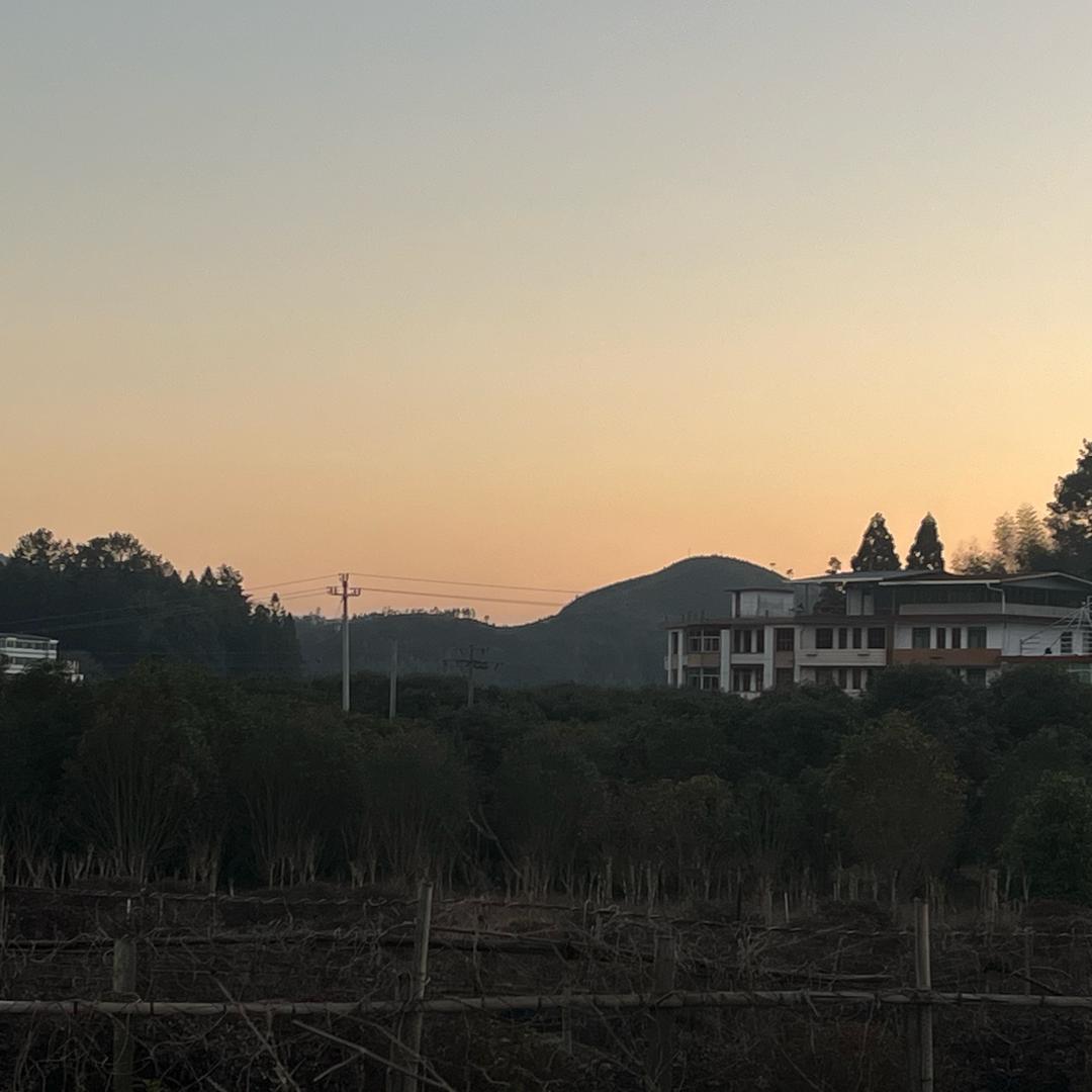 发美