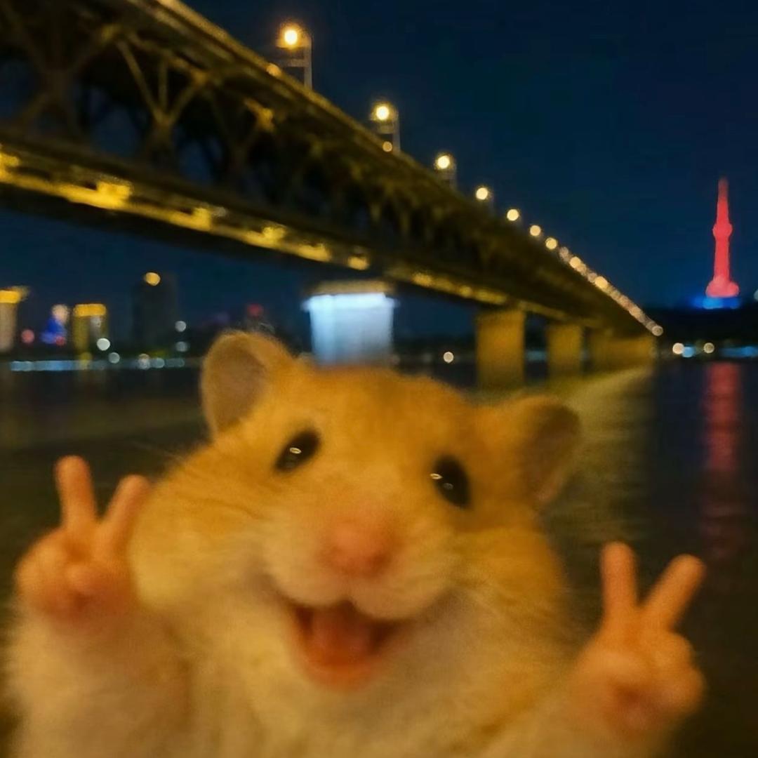 🐾