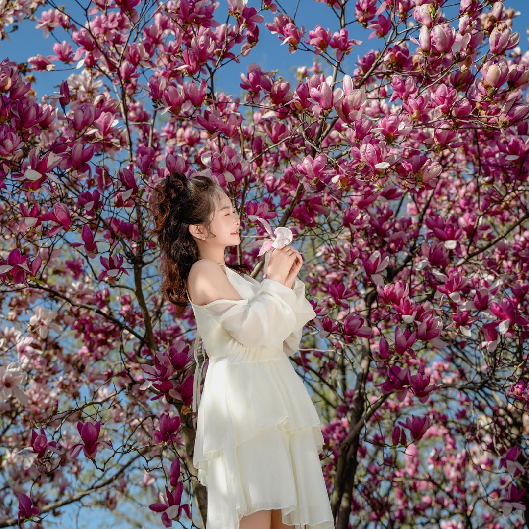 陶🌹依旧笑春风