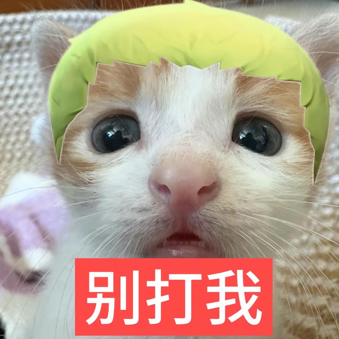 愈（求推荐TT）