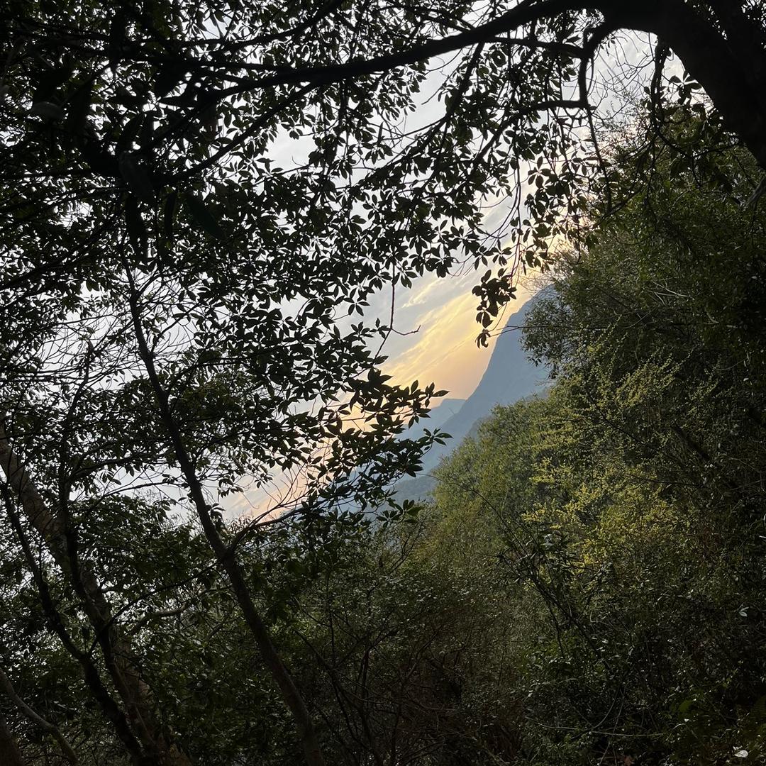 一路前行👣