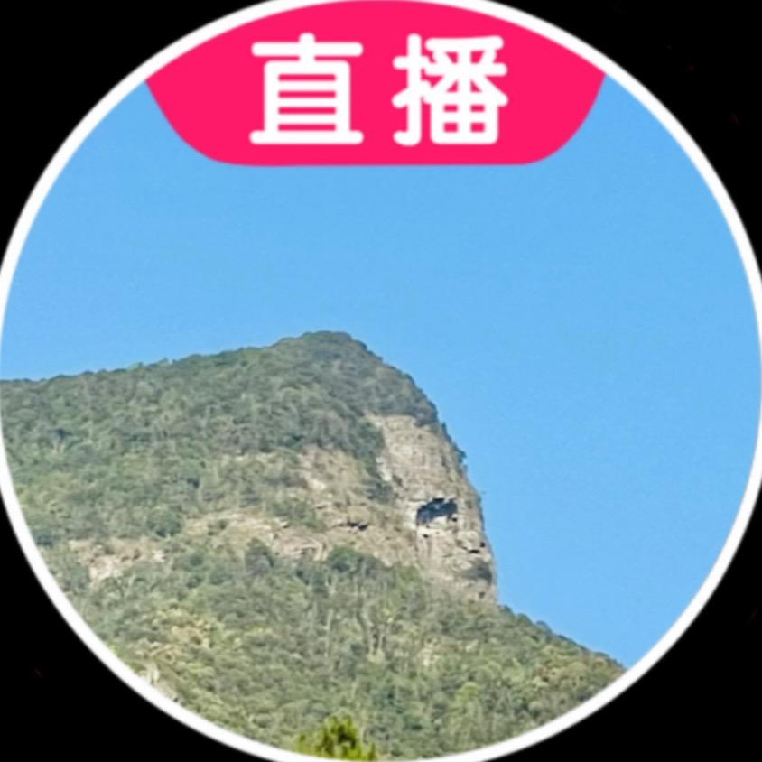 闲不住滴小亮