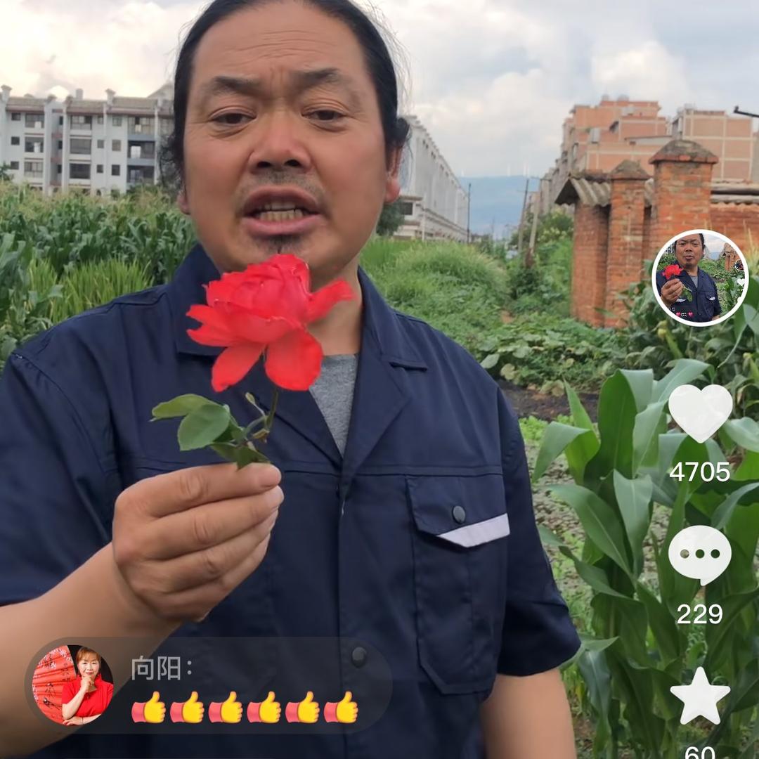 买家电修家电找老丁