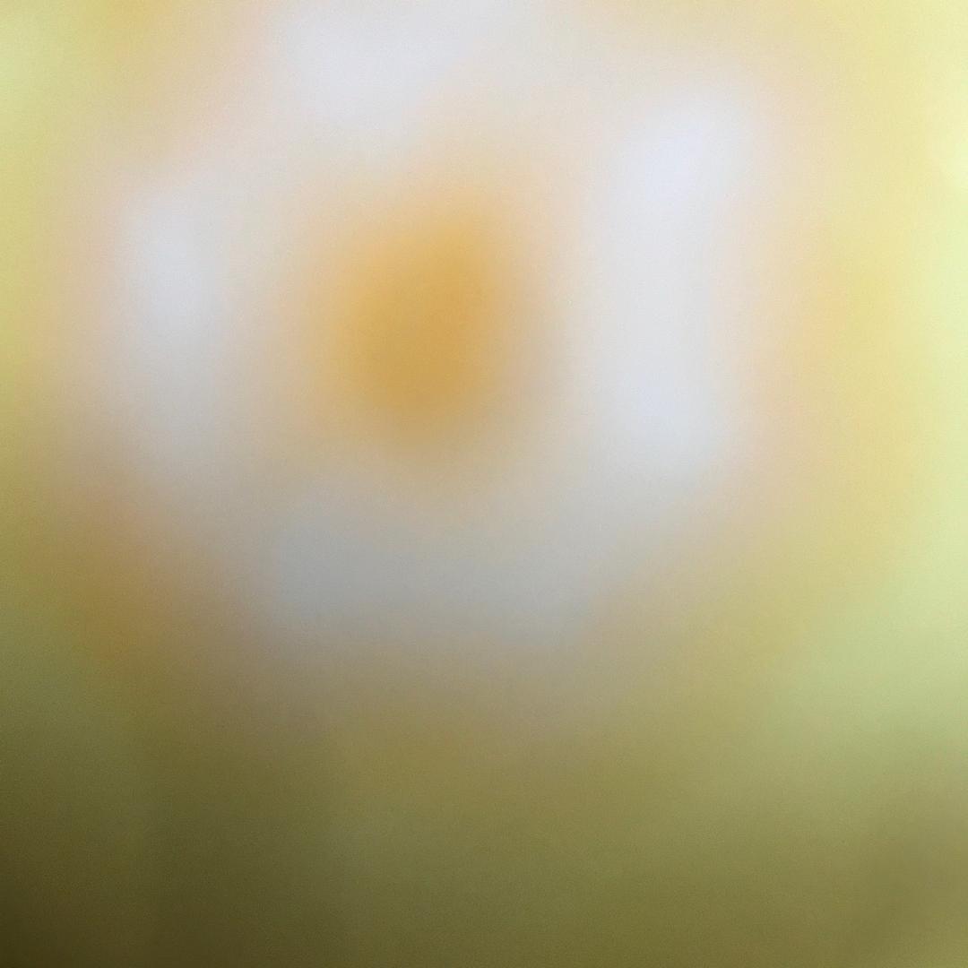 快乐姐