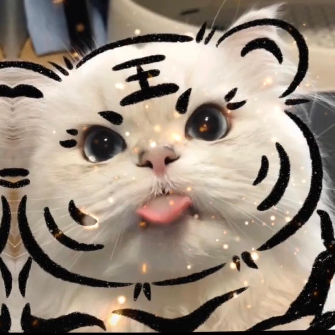 。。。。。。。