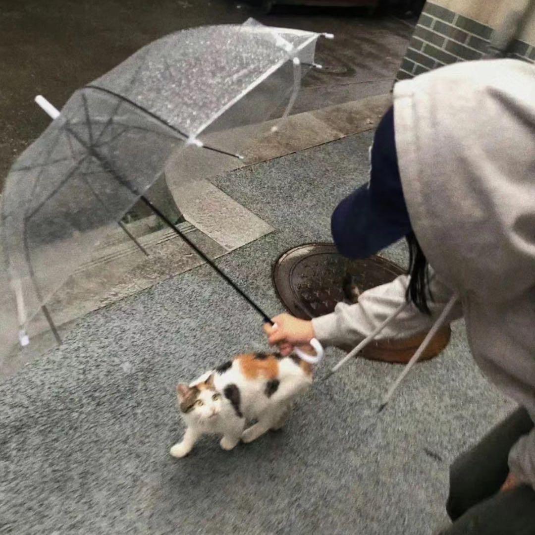 讨厌坏情绪