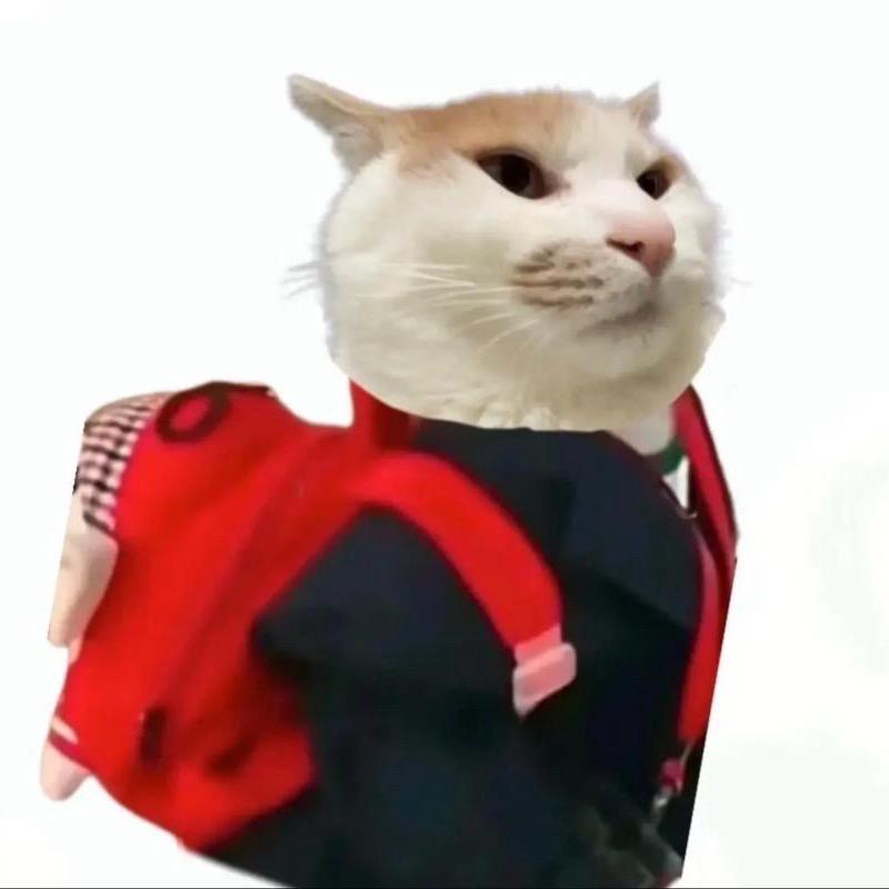 阿奇🫧🍓