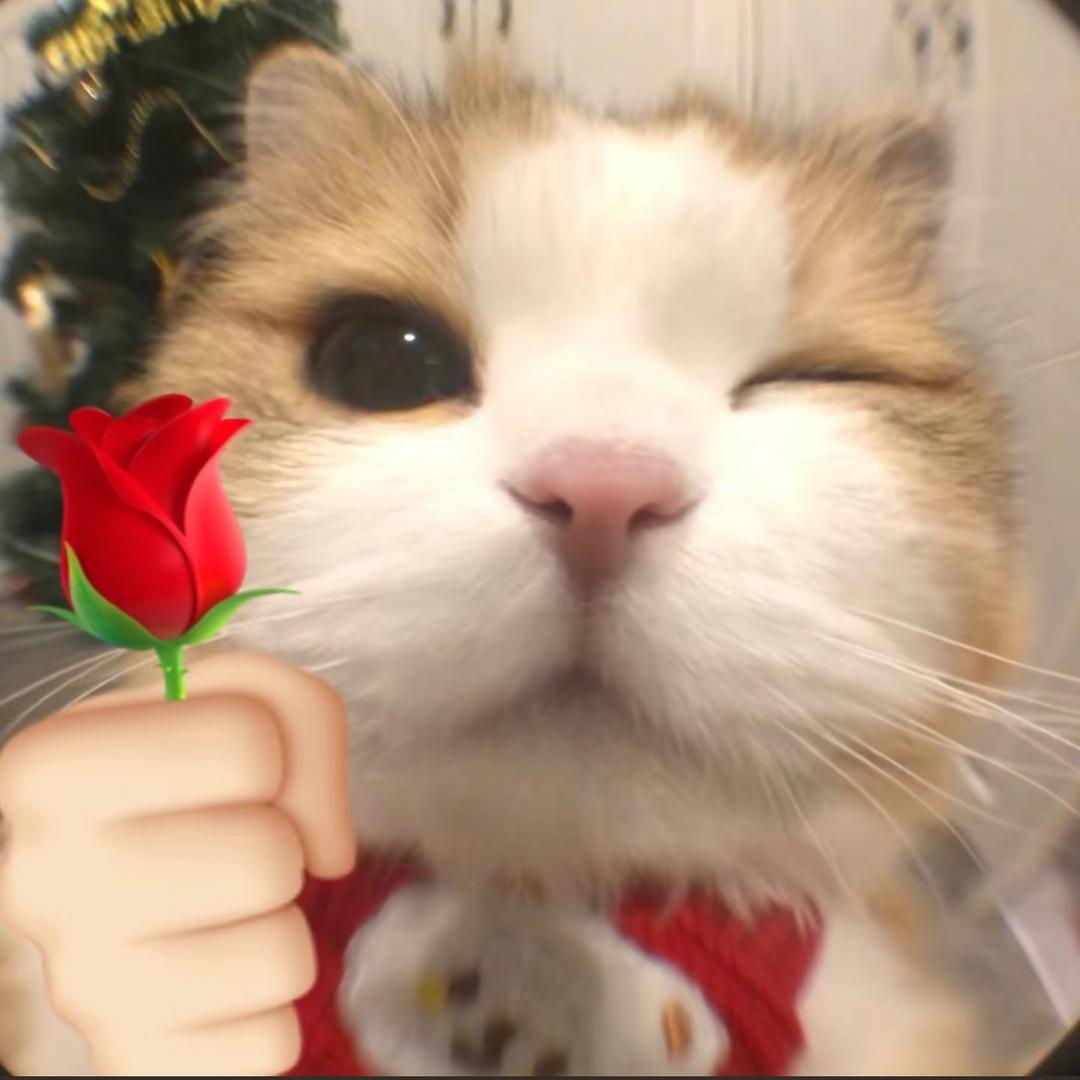 Nann