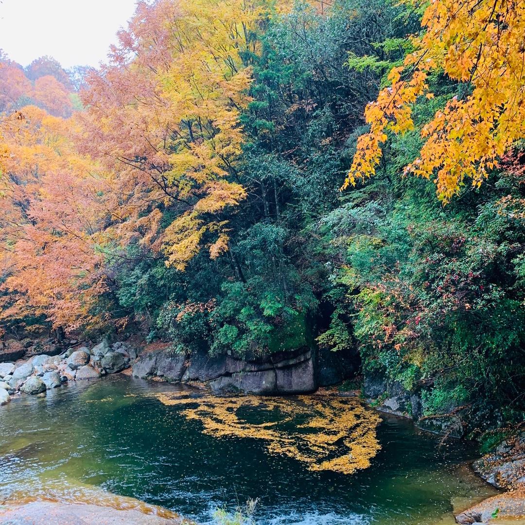 用户悠然