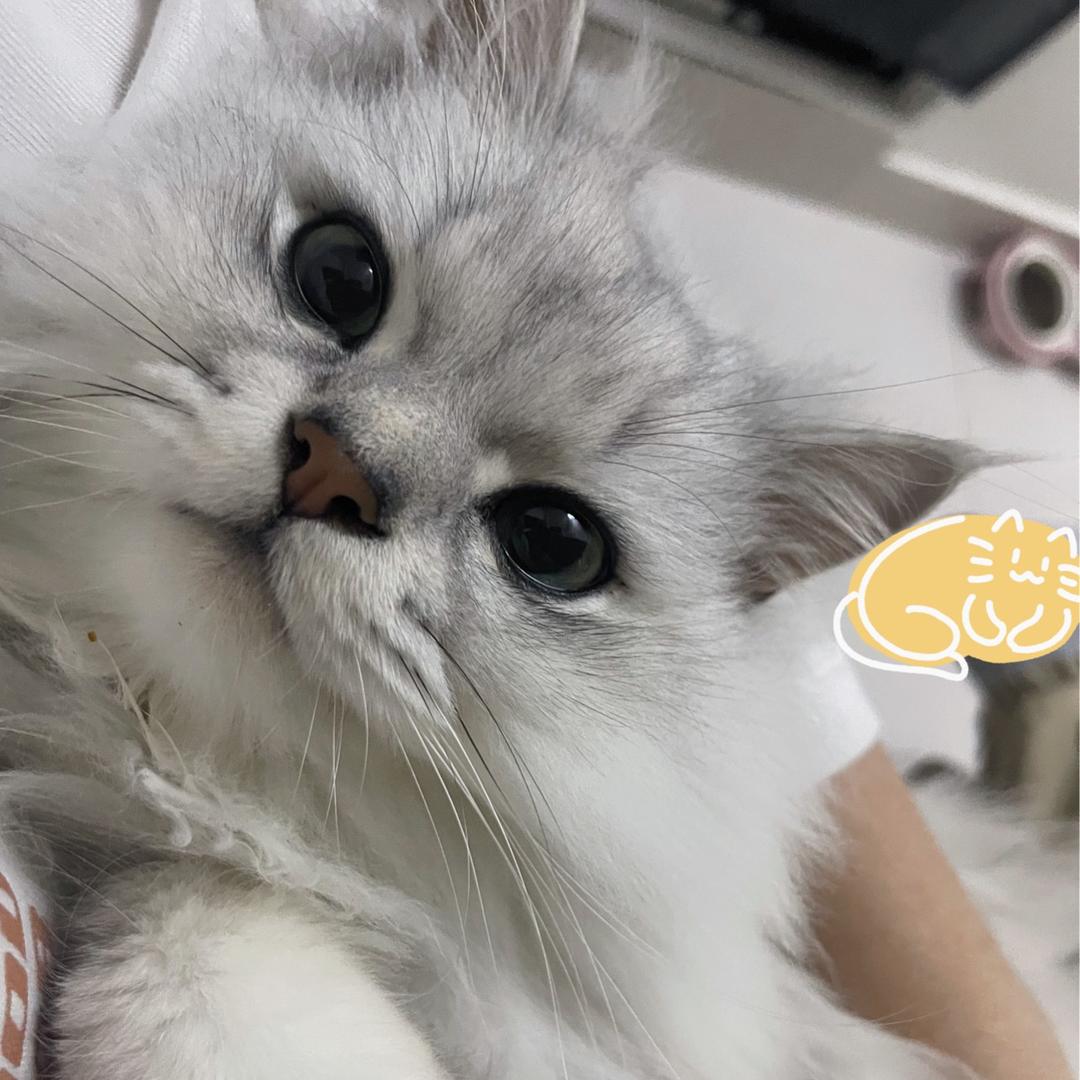 晚安脏脏包