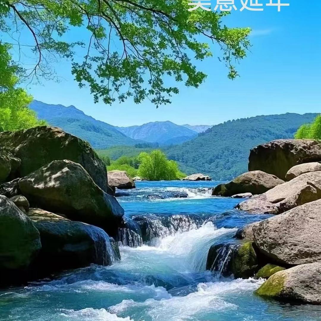 拾墨