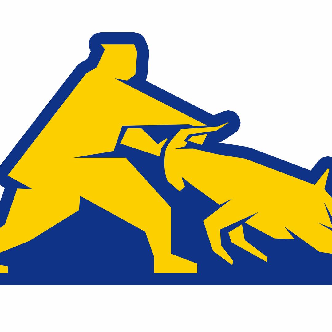 岳老三鲜羊肉汤官方号