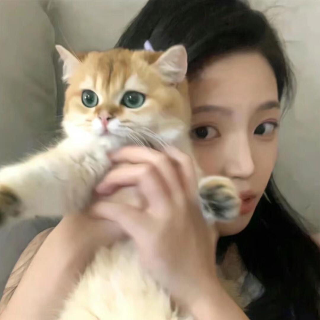 姝燃精选