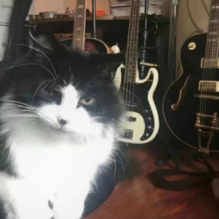 冬季芒果不供应