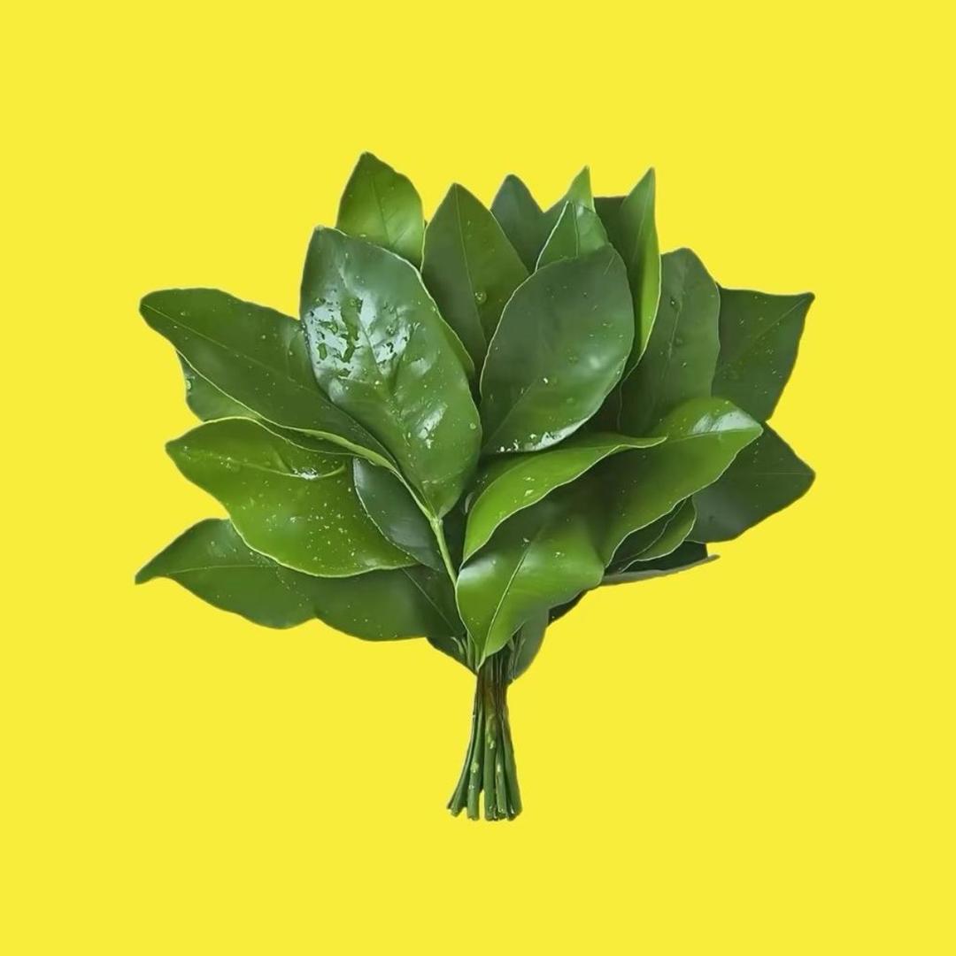 等次年春.