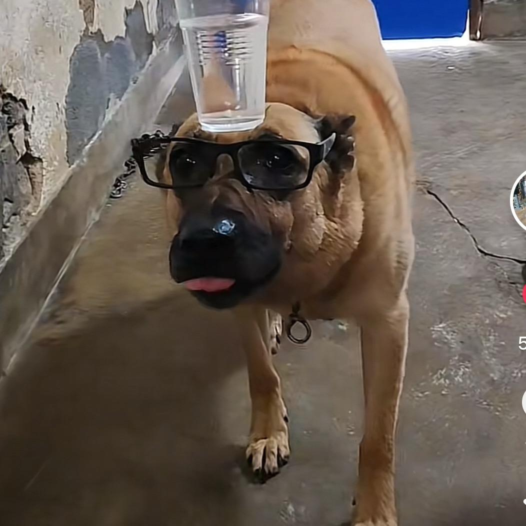 我是超級萌萌寶貝