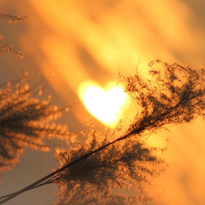 ❦₯㎕ζั͡✾KEN