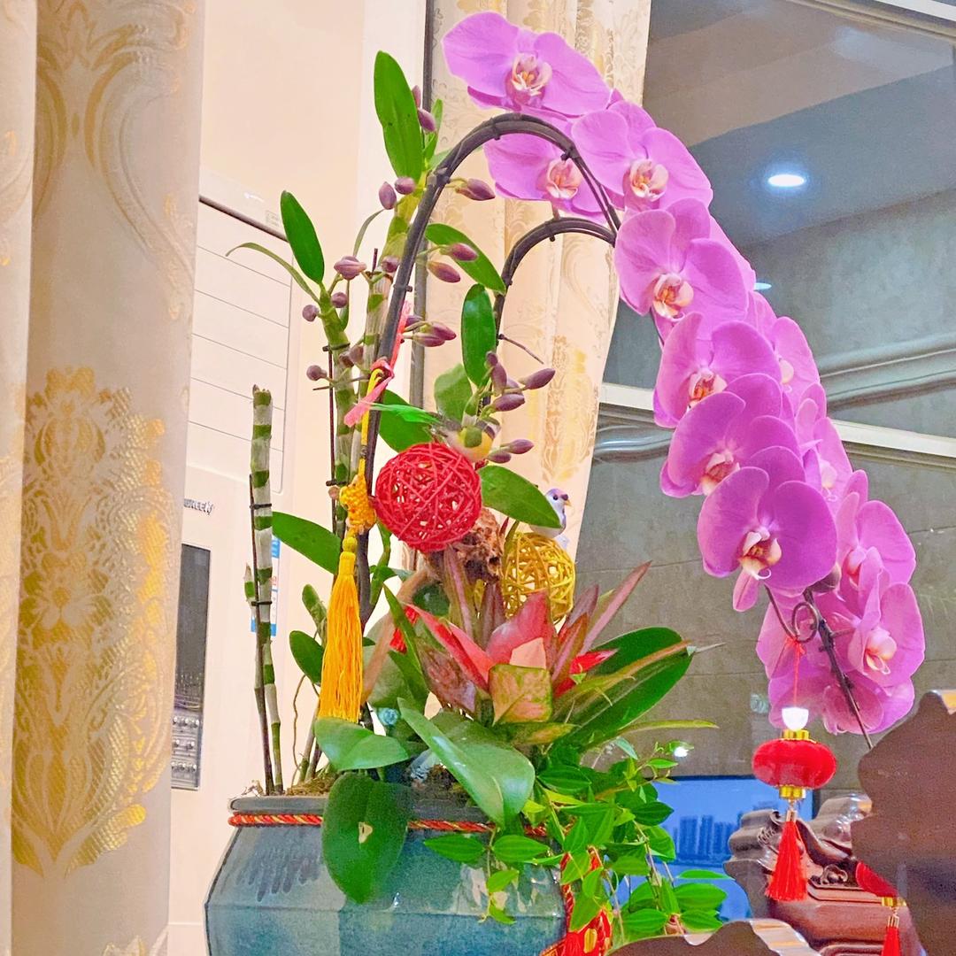 阳光下的丫头