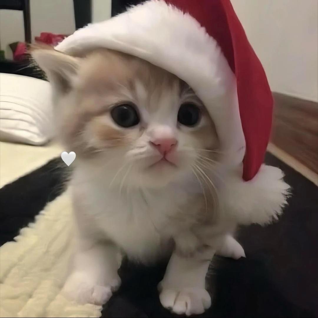 上好佳头像