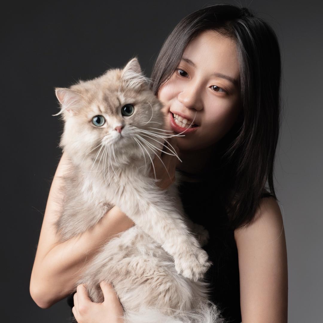 大华探宠猫咪日常