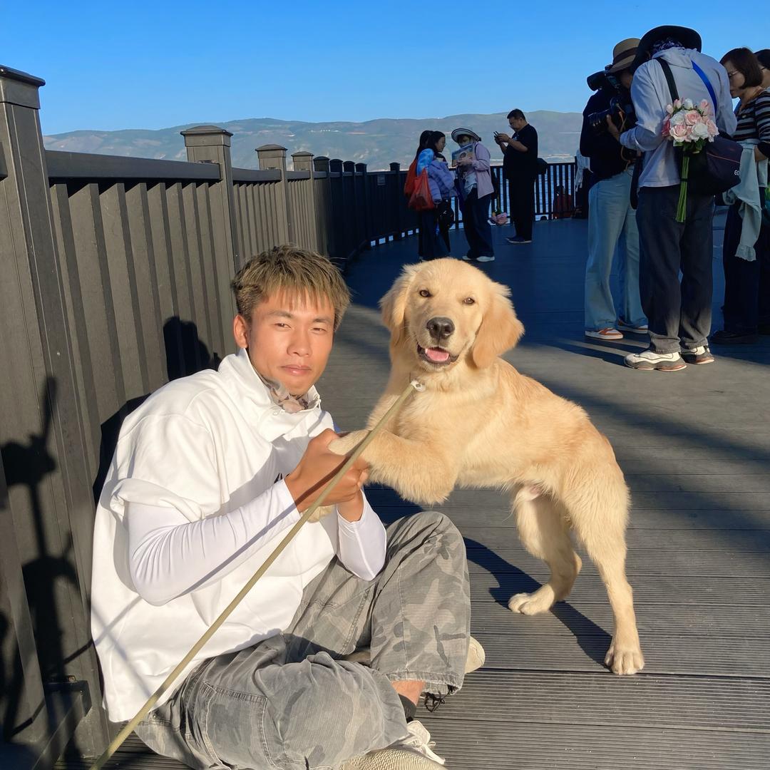 阳阳领队（带您游云南）