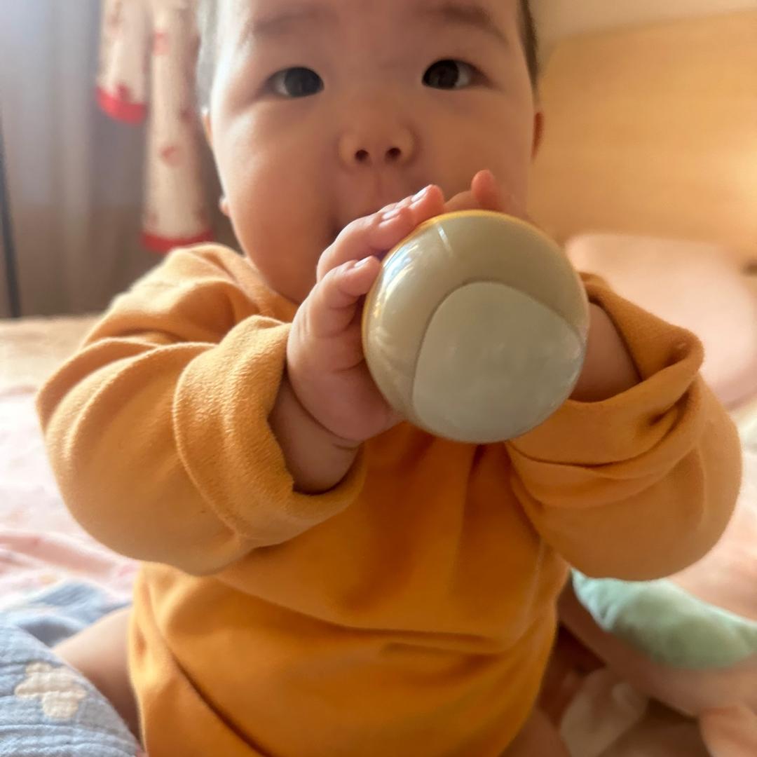草莓来啦