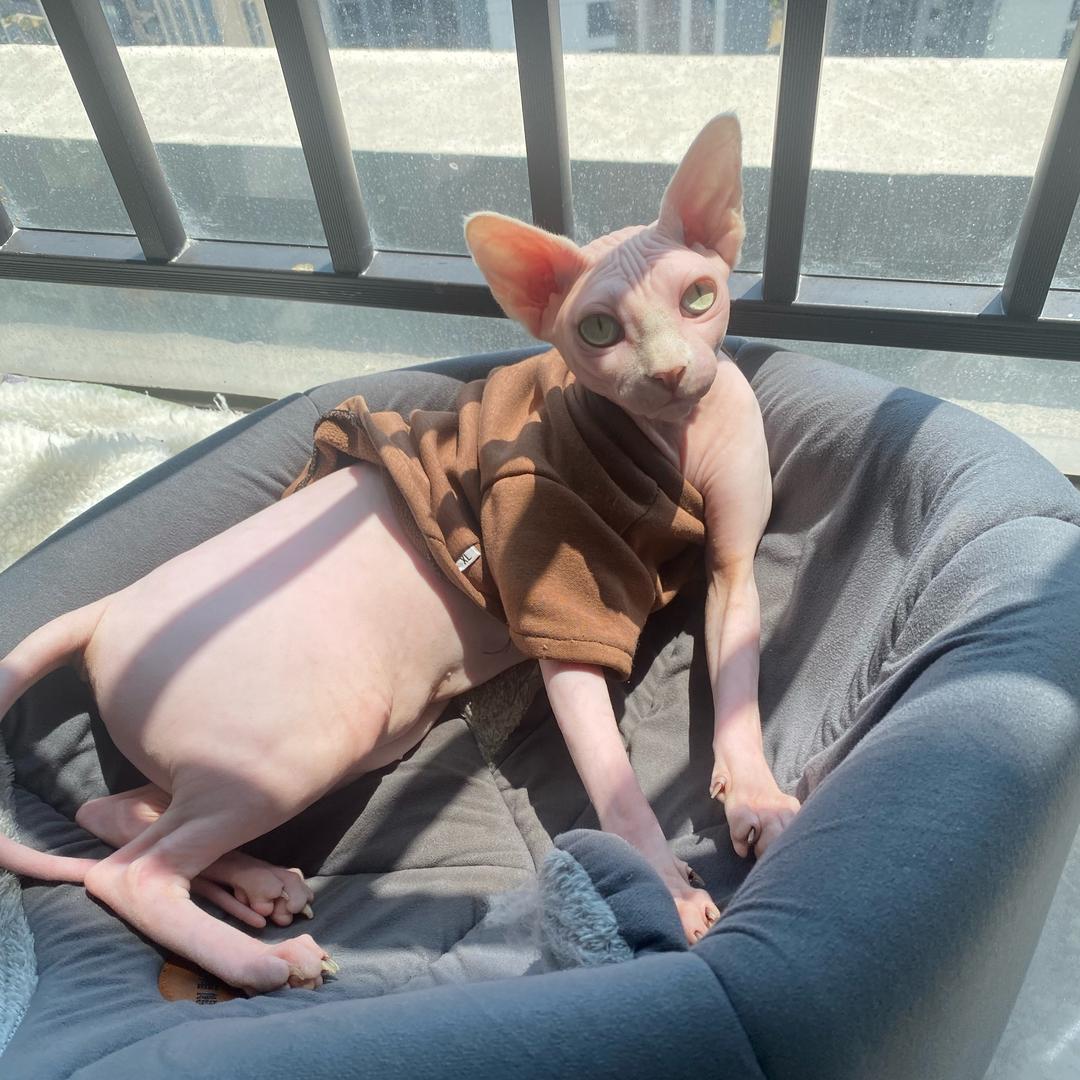 慌慌你别怕