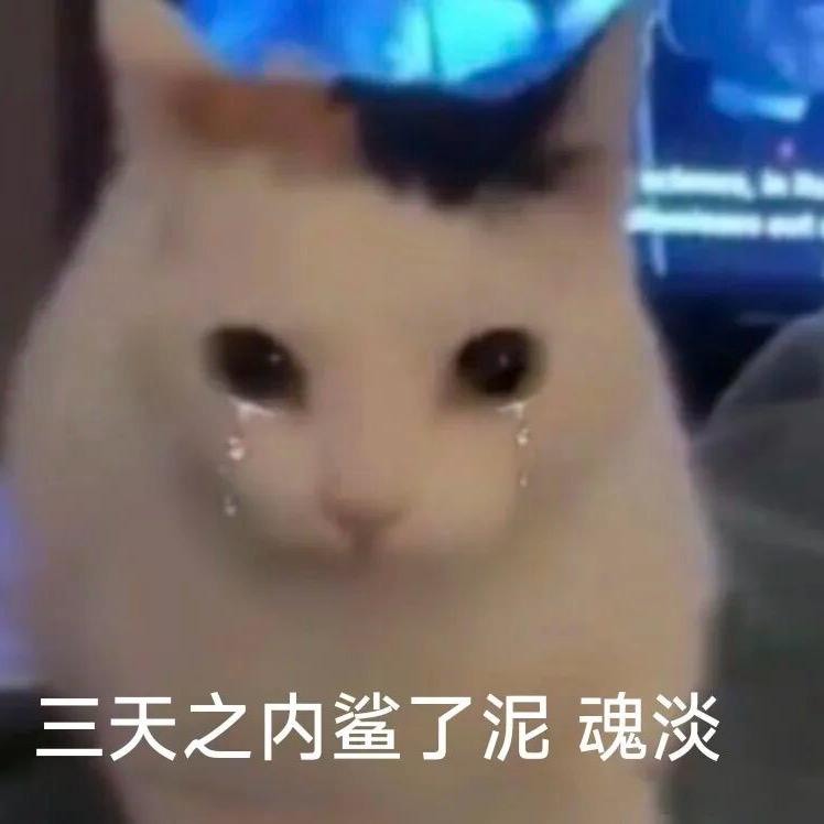 豚