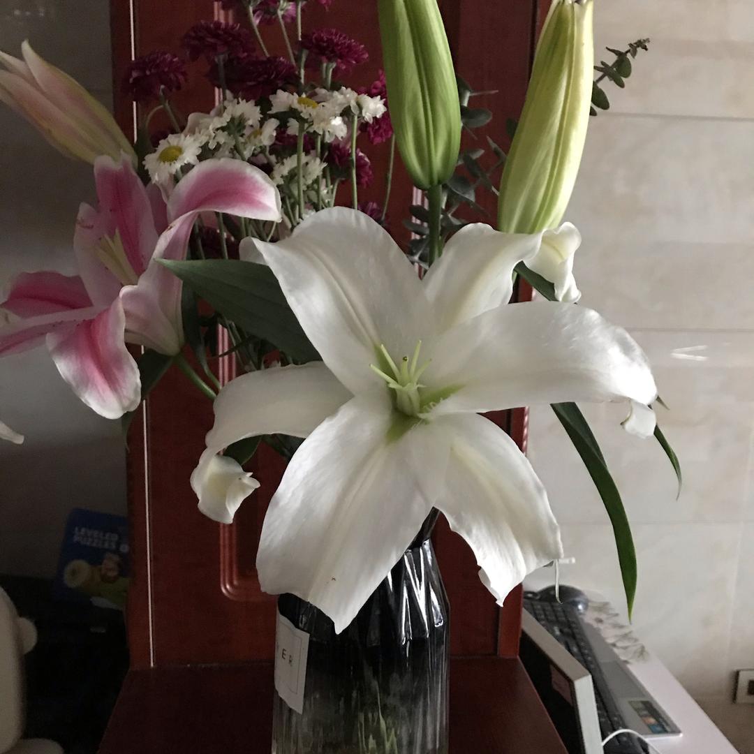 花儿