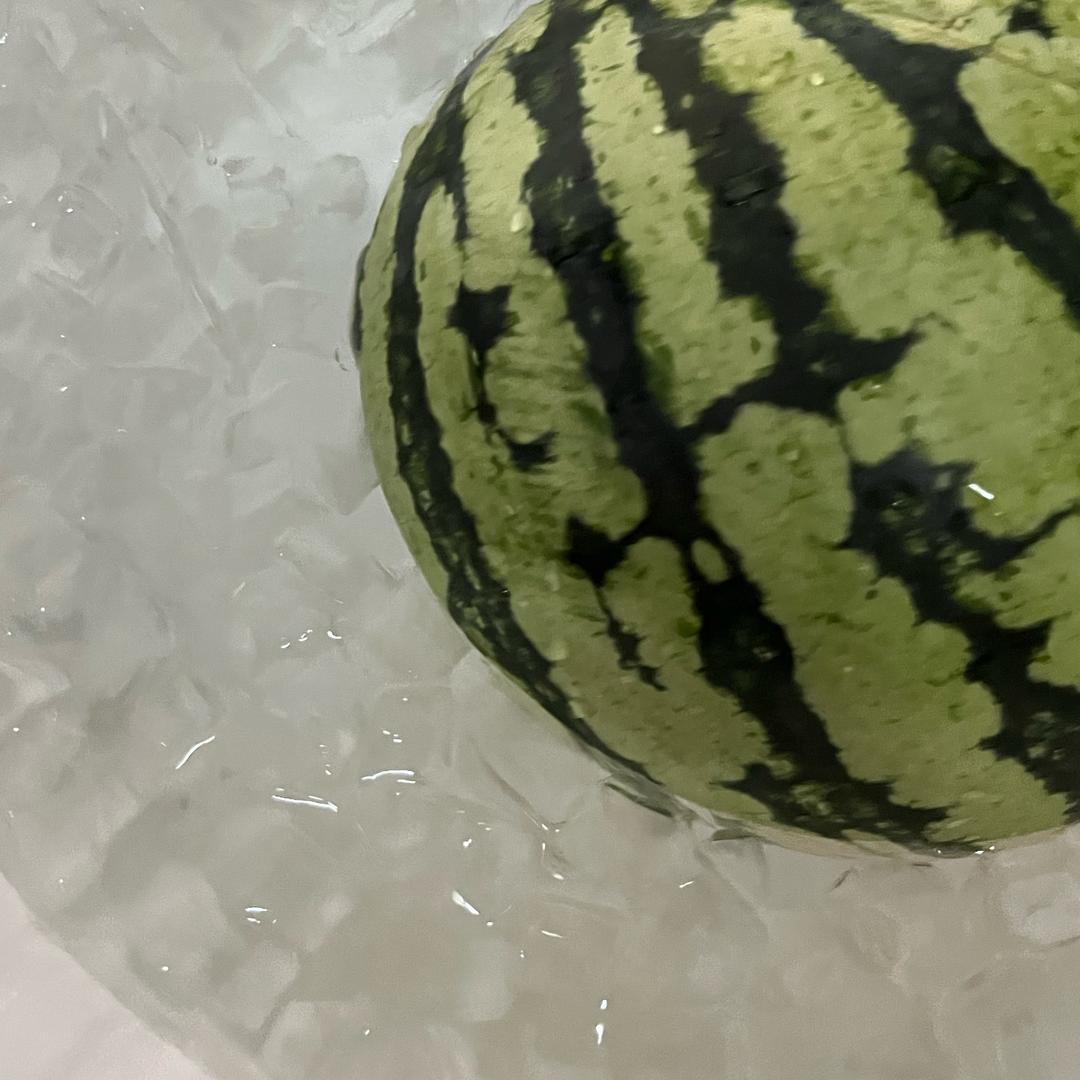 大能猫