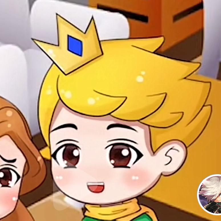 爱玩游戏的白水晶